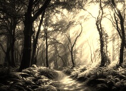 Sepia