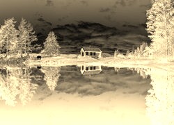 Sepia + Negatyw