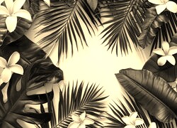 Szary + Sepia