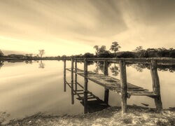 Szary + Sepia