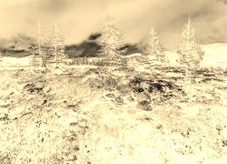 Sepia + Negatyw