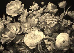 Szary + Sepia