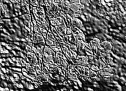 Skamielina