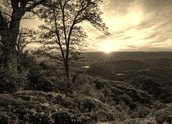 Szary + Sepia