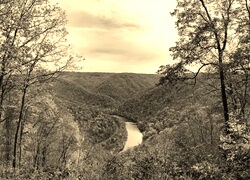 Sepia