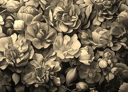 Szary + Sepia