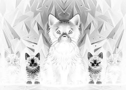 Szary + Negatyw