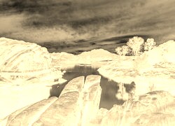 Sepia + Negatyw