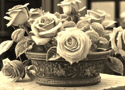 Szary + Sepia