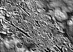 Skamielina