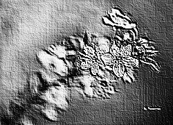 Skamielina