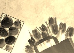 Sepia + Negatyw
