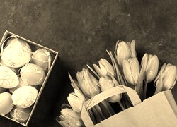 Szary + Sepia