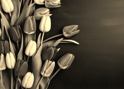 Szary + Sepia