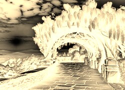 Sepia + Negatyw