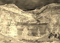 Sepia + Negatyw