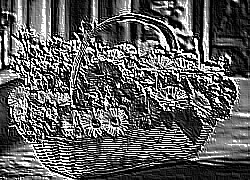 Skamielina