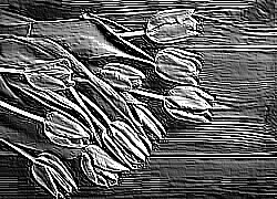 Skamielina