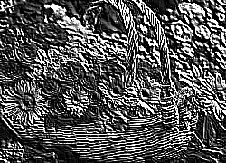 Skamielina