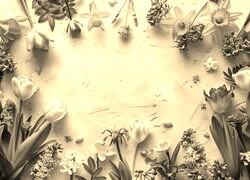 Szary + Sepia