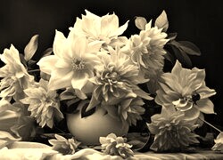 Szary + Sepia