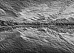 Skamielina