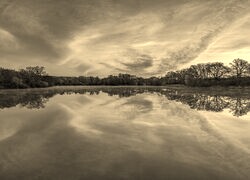 Szary + Sepia