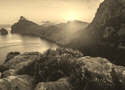 Szary + Sepia
