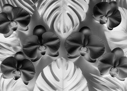 Szary + Negatyw