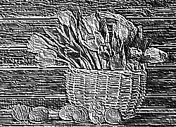 Skamielina