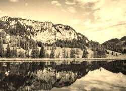 Szary + Sepia