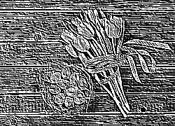 Skamielina