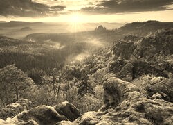 Sepia