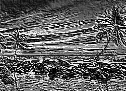 Skamielina