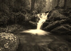 Sepia
