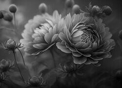 Szary