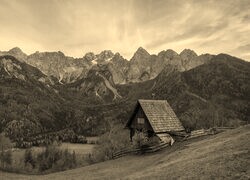 Szary + Sepia