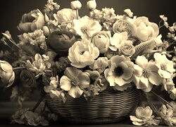 Szary + Sepia