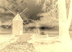 Sepia + Negatyw