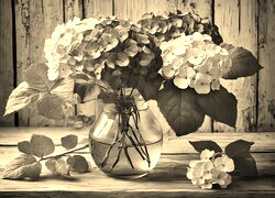 Szary + Sepia