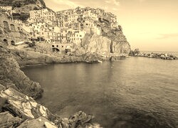 Szary + Sepia