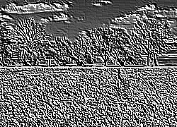 Skamielina