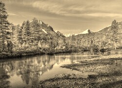 Szary + Sepia