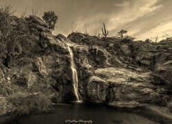 Szary + Sepia