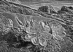 Skamielina