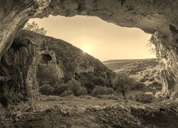 Szary + Sepia