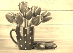 Szary + Sepia