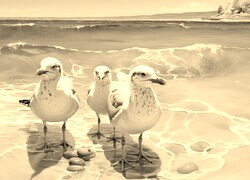 Sepia
