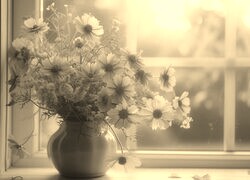 Szary + Sepia