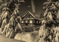 Sepia
